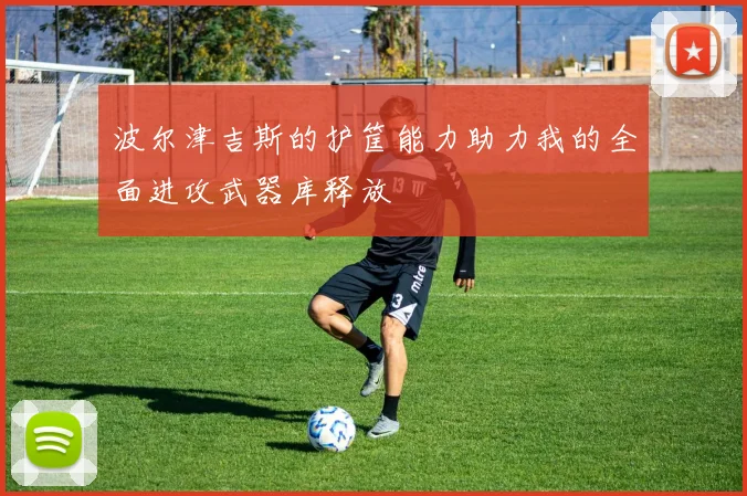 波尔津吉斯的护筐能力助力我的全面进攻武器库释放