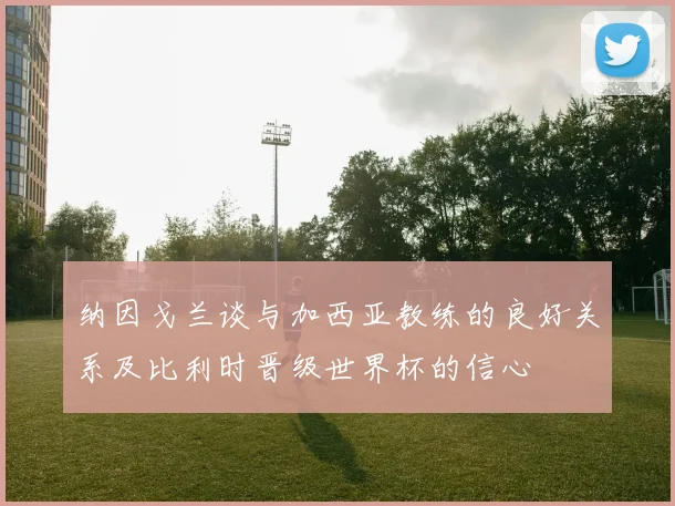 纳因戈兰谈与加西亚教练的良好关系及比利时晋级世界杯的信心